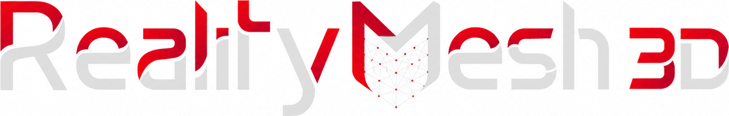 RealityMesh3D